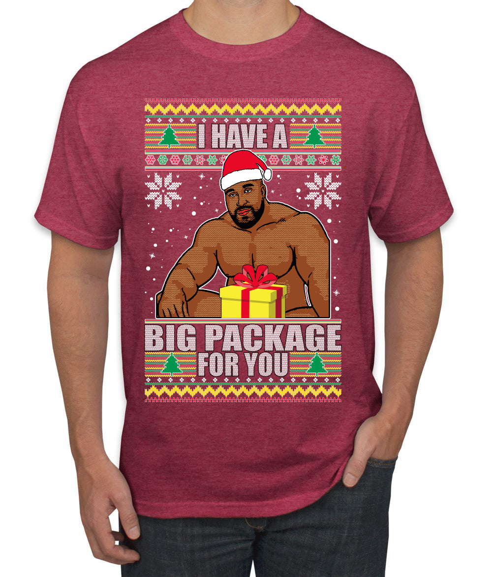 I Have A Big Package Meme Barry Wood Ugly Christmas Sweater Men's Graphic T-Shirt