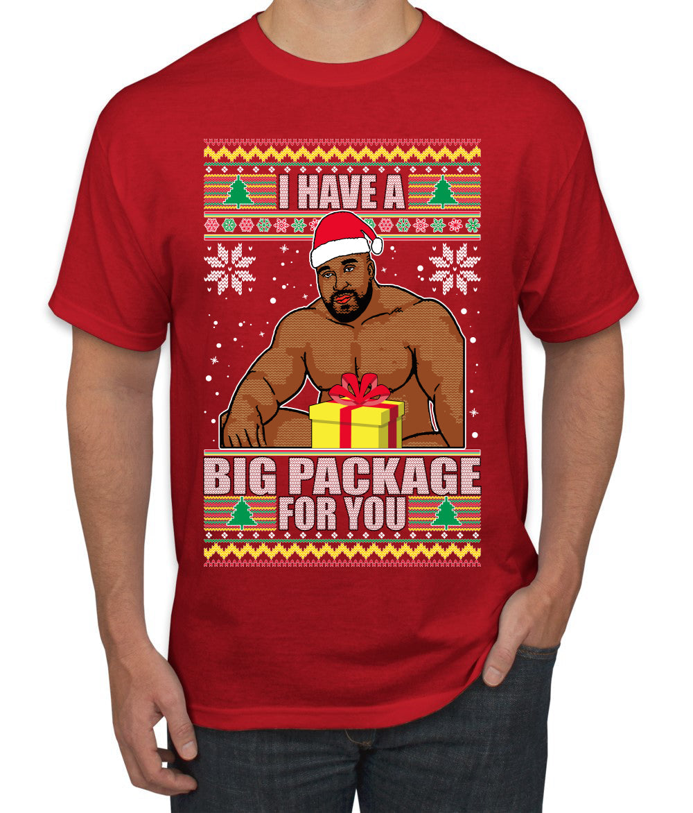 I Have A Big Package Meme Barry Wood Ugly Christmas Sweater Men's Graphic T-Shirt