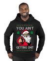 You Ain't Getting Shit Funny Santa Claus Ugly Christmas Sweater Premium Graphic Hoodie Sweatshirt
