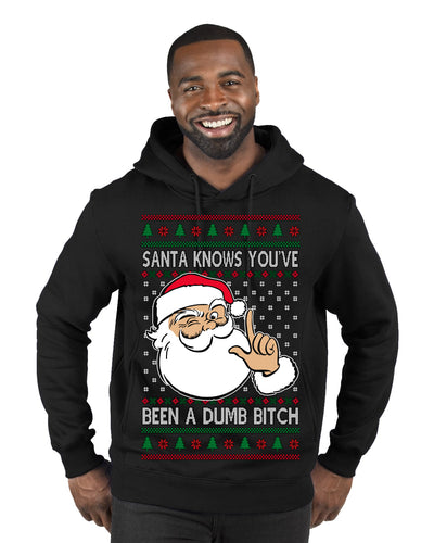 Santa Knows You've Been a Dumb Bitch Funny Vulgar Dirty Ugly Christmas Sweater Premium Graphic Hoodie Sweatshirt
