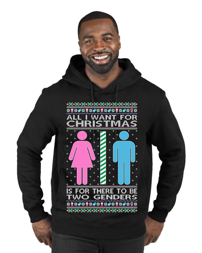 All I Want For Christmas Is For There To Be Two Genders Ugly Christmas Sweater Premium Graphic Hoodie Sweatshirt