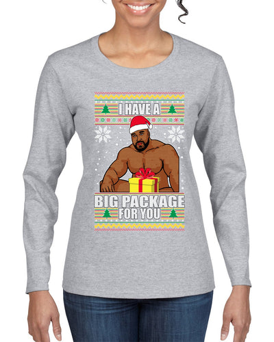 I Have A Big Package Meme Barry Wood Ugly Christmas Sweater Womens Graphic Long Sleeve T-Shirt
