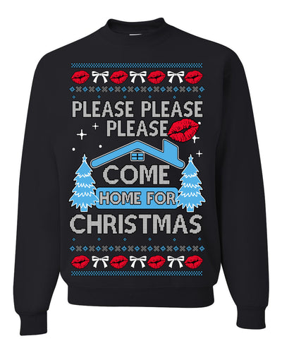 Please Please Please Come Home for Xmas Viral Pop Song Ugly Christmas Sweater Crewneck Sweatshirt