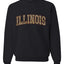 Illinois  Camo Fill Orange Outline Sweater, Unisex Crewneck Sweatshirts