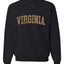 Virginia  Camo Fill Orange Outline Sweater, Unisex Crewneck Sweatshirts