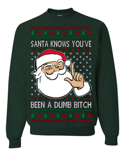 Santa Knows You've Been a Dumb Bitch Funny Vulgar Dirty Ugly Christmas Sweater Crewneck Sweatshirt
