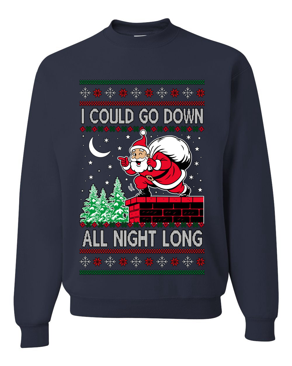 I Could Go Down All Night Long, Ugly Christmas Unisex Sweater, Crewneck Sweatshirts
