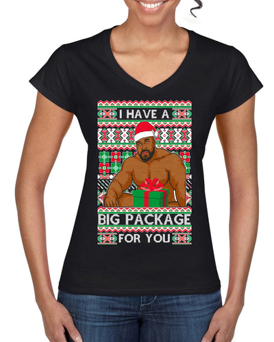I have a Big package Meme Barry Wood  Ugly Christmas Sweater Women’s Standard V-Neck Tee