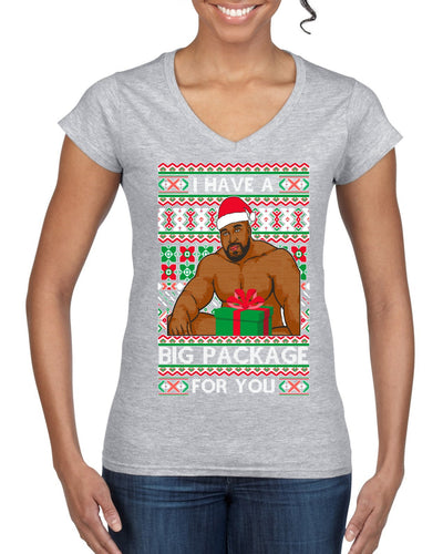 I have a Big package Meme Barry Wood  Ugly Christmas Sweater Women’s Standard V-Neck Tee